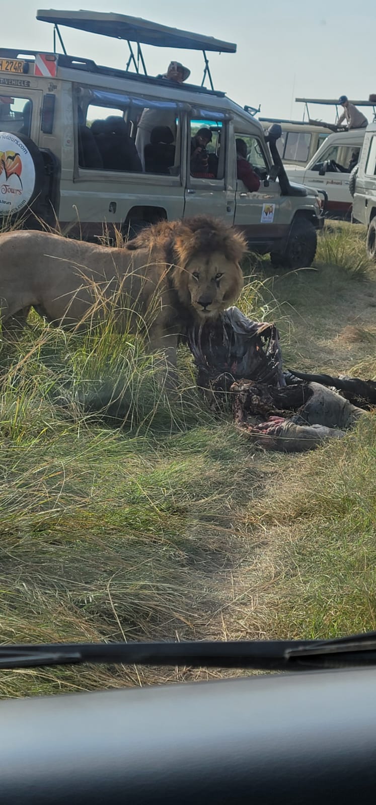 5 Days – Manyara, Ngorongoro, Serengeti Luxury Lodge Safari